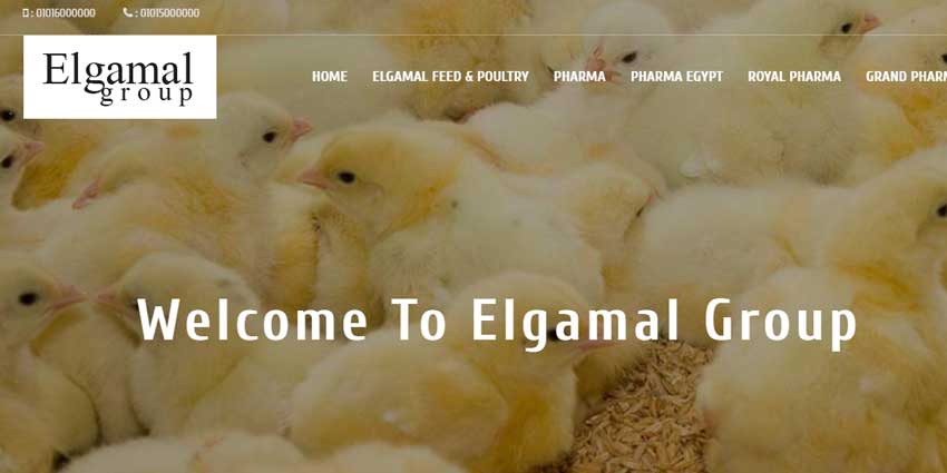 Elgamal Group